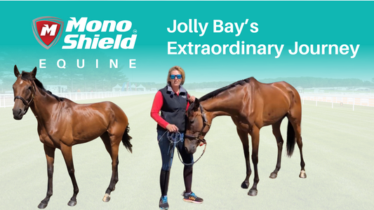 Jolly Bay at Jo Davis Racing