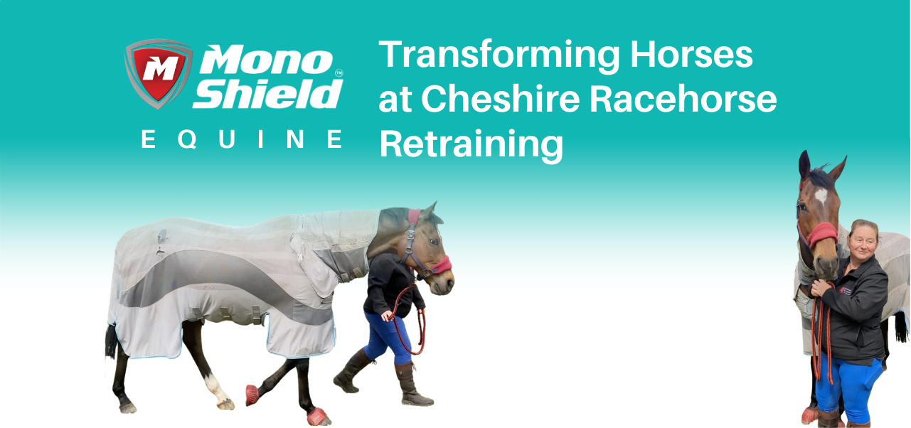 Peanut's Transformation on MonoShield Equine – MonoShield Equine Ireland