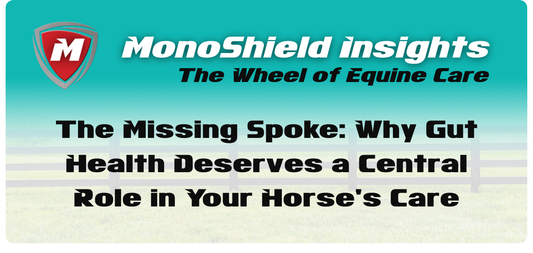 The Missing Spoke: Why Gut Health Deserves a Central Role in Your Horse's Care